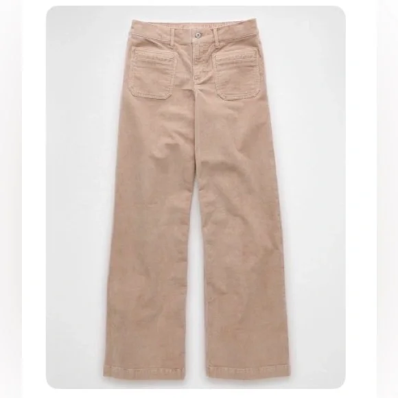 American Eagle Stretch Corduroy Low Rise Baggy Wide Leg Pants - Picture 2 of 12